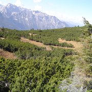 miglioramenti ambientali (8)